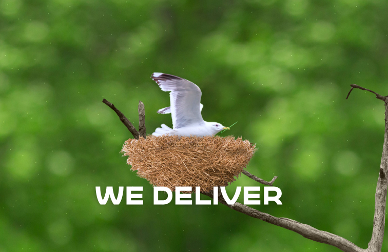 We deliver_2