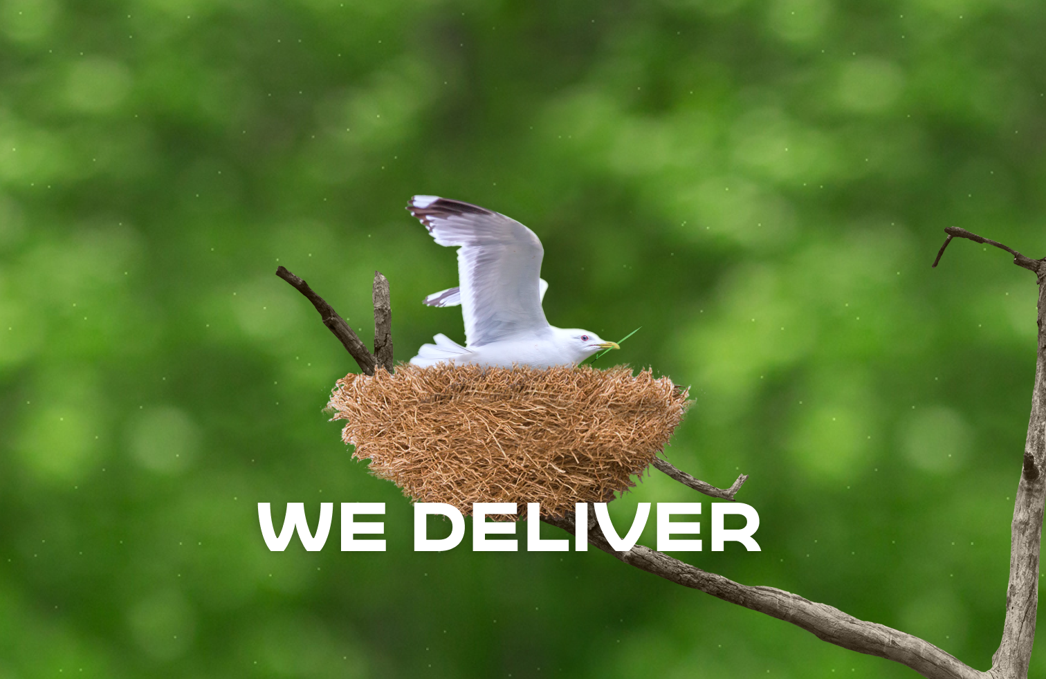 We deliver_2